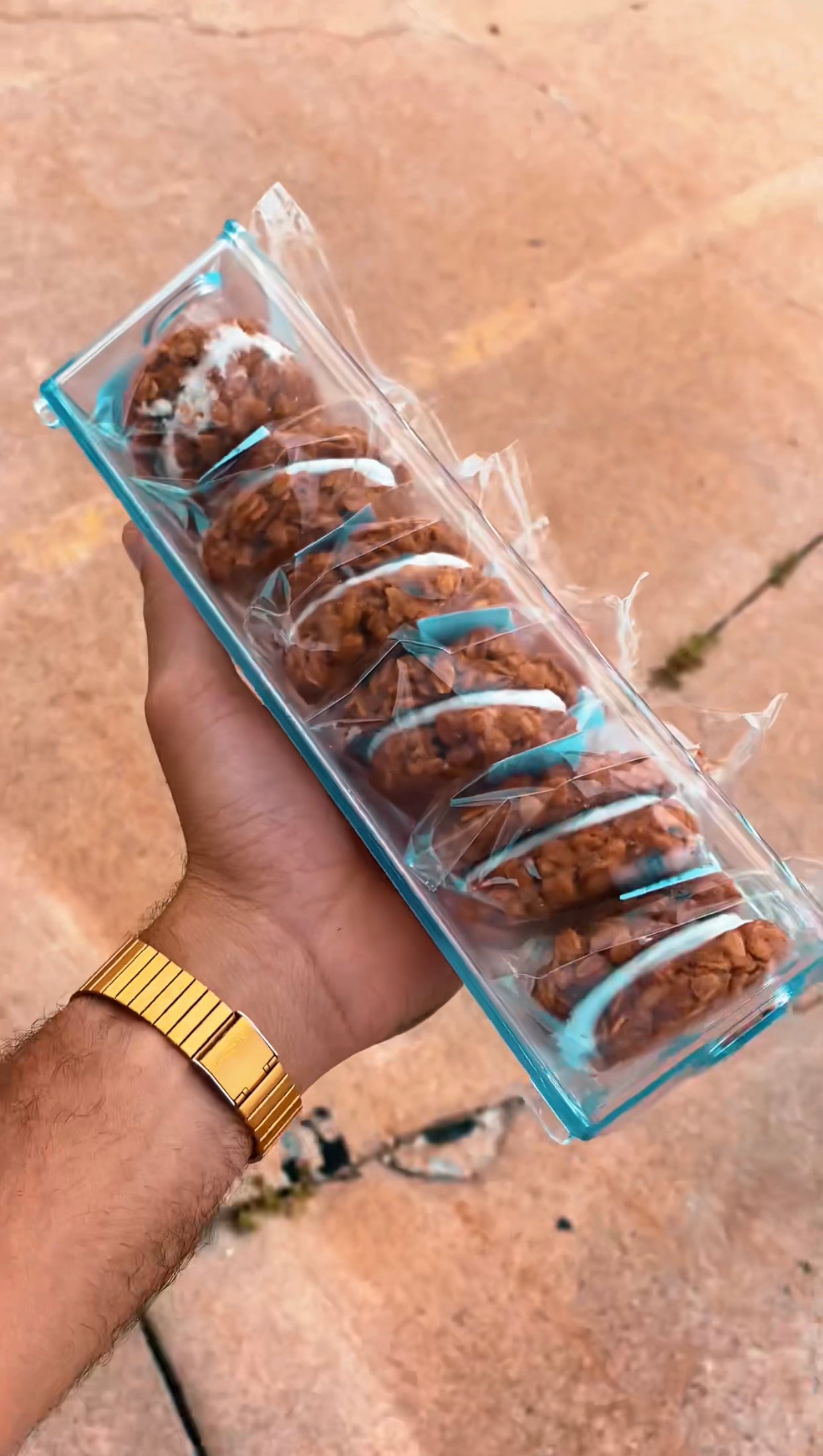 Organic Plant Based Oatmeal Creampie Cookies